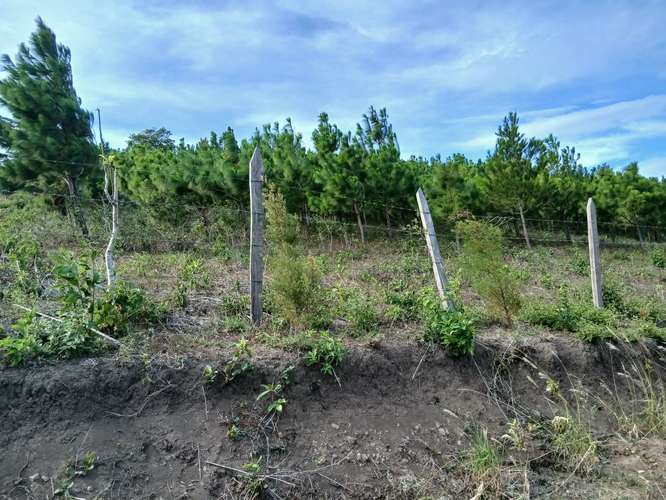 Se vende terreno de 1/4 de manzana (1,750 m²) en zona de clima fresco y excelente vista - Imagen 8
