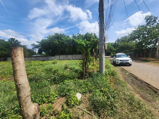 Se venden terrenos en carretera vieja a león - Imagen 8