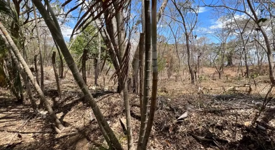 TERRENO EN VENTA – EL VIEJO, CHINANDEGA