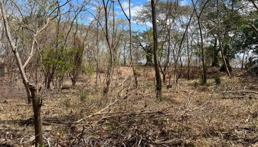TERRENO EN VENTA – EL VIEJO, CHINANDEGA