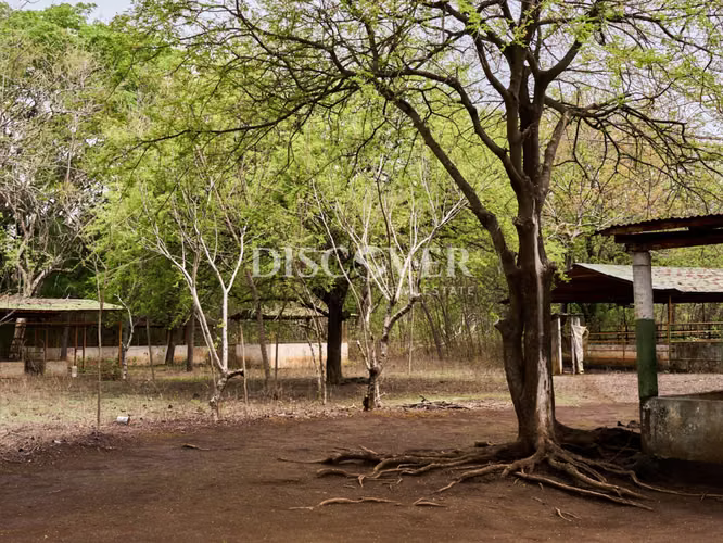 Se vende terreno en Carretera Nindirí a Carretera Sabana  ID15012 - Imagen 3