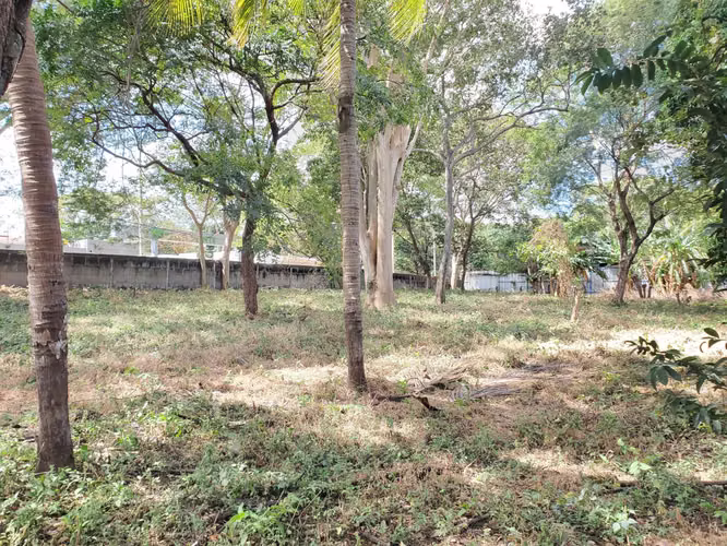 DG-Vendo terreno en  Carretera Masaya km 15 - Imagen 1