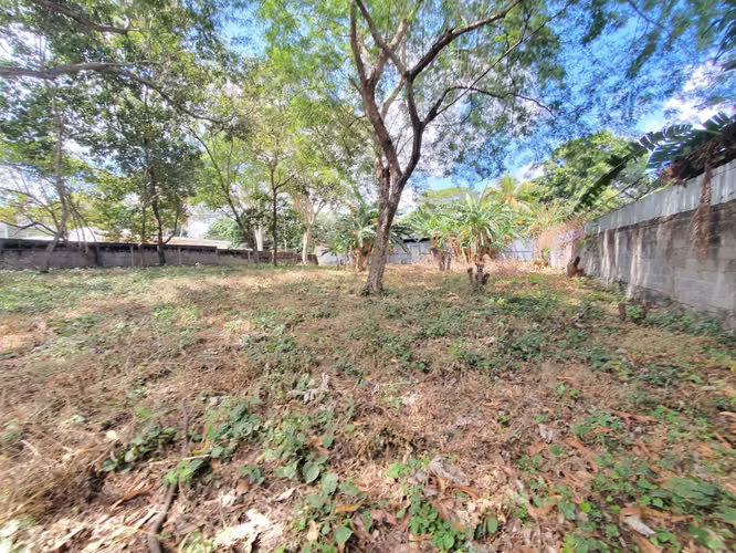 DG-Vendo terreno en  Carretera Masaya km 15 - Imagen 3