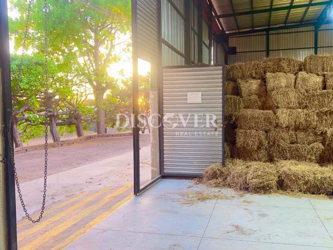 Se renta bodega sobre carretera panamericana en Estelí   ID15022 - Imagen 4