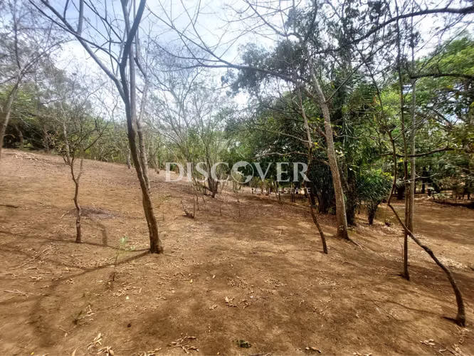  Se vende terreno plano en Carretera Masaya - Granada ID15027 - Imagen 6