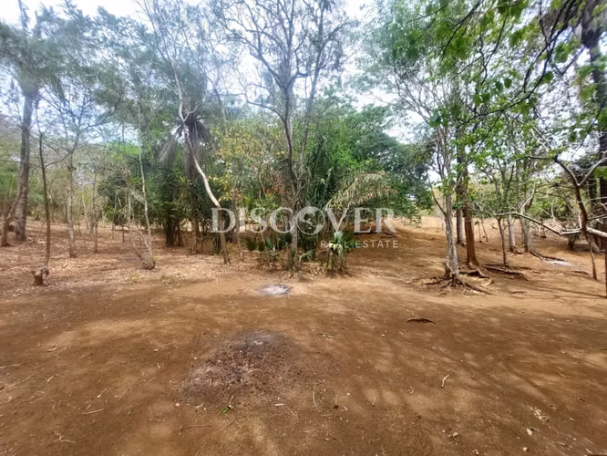  Se vende terreno plano en Carretera Masaya - Granada ID15027 - Imagen 7