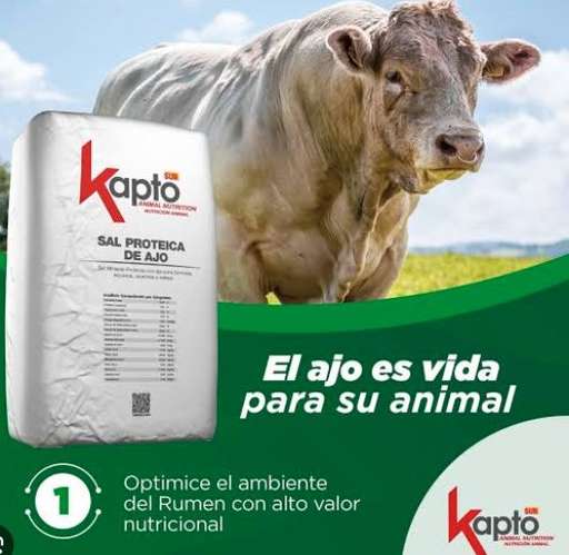 Alimento para Vaca Lactante 25 kg, Bovino Energético y Sal Proteica - Imagen 6