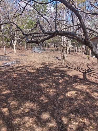 Venta de Terreno 30x30 (precio negociable) - Imagen 3