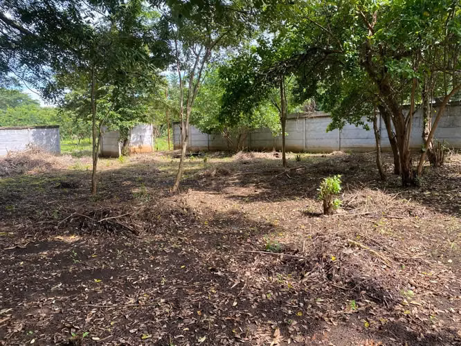 KC- TERRENO EN VENTA EN MONTEVERDE – CARRETERA A MASAYA - Imagen 4
