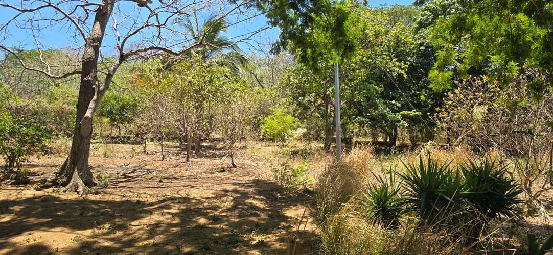 Venta de Quinta en Carretera Vieja a Leon  - Imagen 2