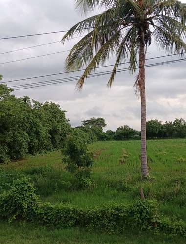  ¡TERRENO EN VENTA EN EL VIEJO, CHINANDEGA!