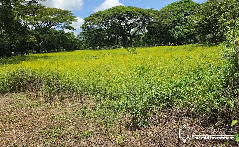 Near-Acre Property with Casita and Horse Stables in Granada