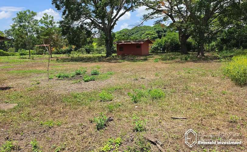 Near-Acre Property with Casita and Horse Stables in Granada