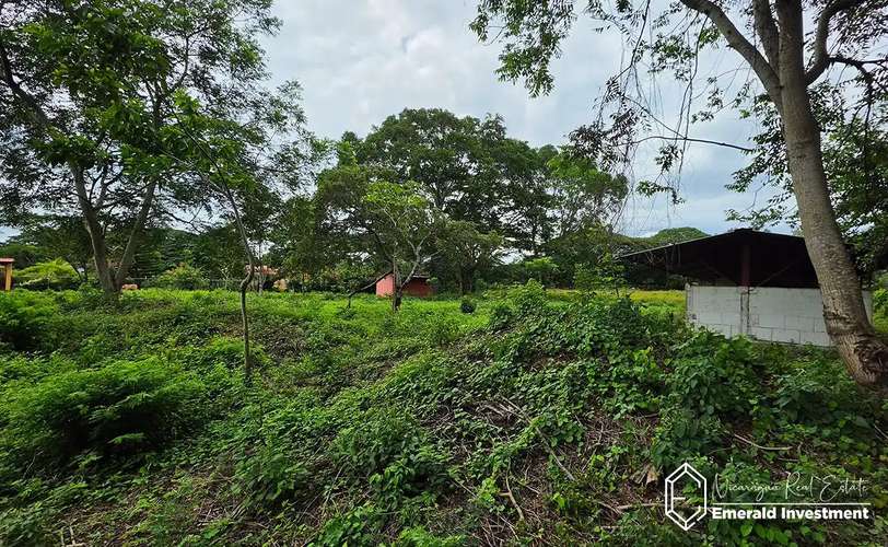 Near-Acre Property with Casita and Horse Stables in Granada