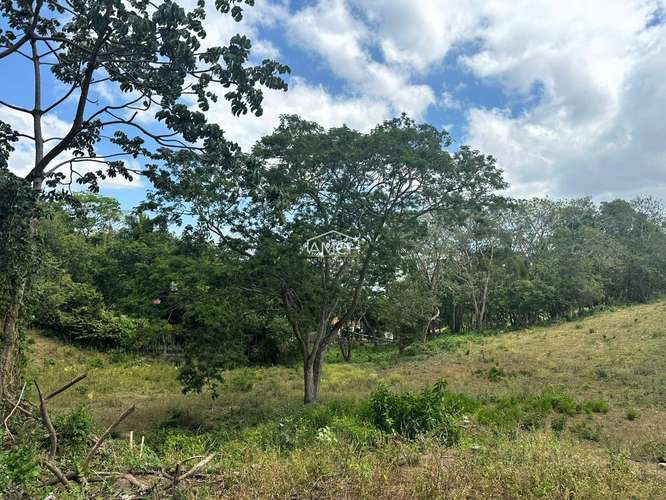 AM-Se Vende Terreno Contiguo a Condominio Acacia - Imagen 3