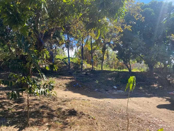 Propiedad de 1 hectárea en Managua con casa, frutales y potencial para oficina o bodega