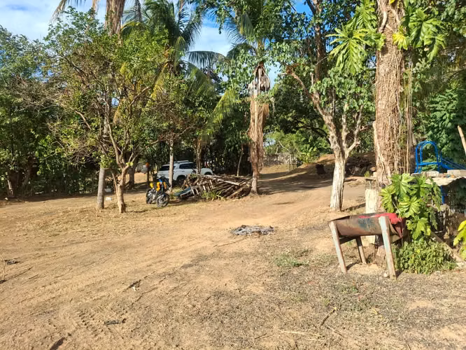 Propiedad de 1 hectárea en Managua con casa, frutales y potencial para oficina o bodega