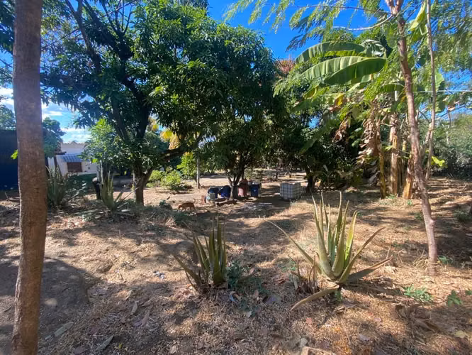 Propiedad de 1 hectárea en Managua con casa, frutales y potencial para oficina o bodega