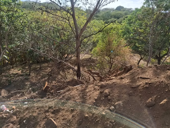 Propiedad de 1 hectárea en Managua con casa, frutales y potencial para oficina o bodega