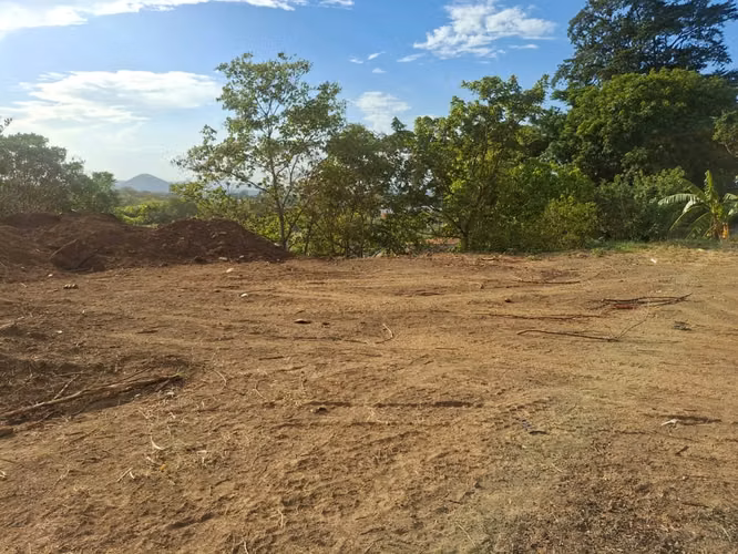 Propiedad de 1 hectárea en Managua con casa, frutales y potencial para oficina o bodega