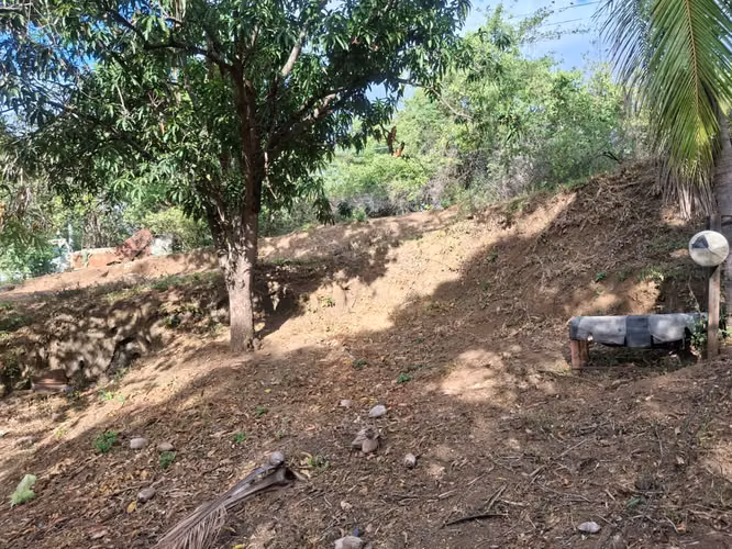 Propiedad de 1 hectárea en Managua con casa, frutales y potencial para oficina o bodega