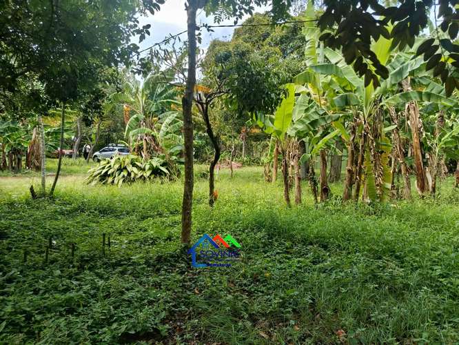 Terreno en venta con mejoras | Niquinomo – Masatepe