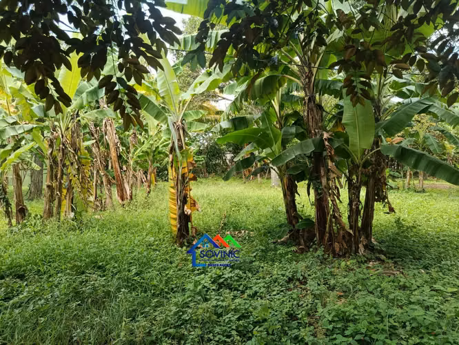 Terreno en venta con mejoras | Niquinomo – Masatepe