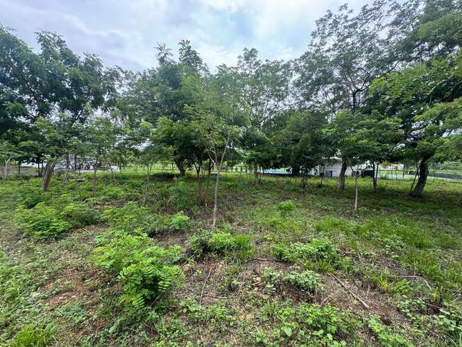 Spacious Building Lots Near Playa Marsella – 20-Meter Frontage & No HOA