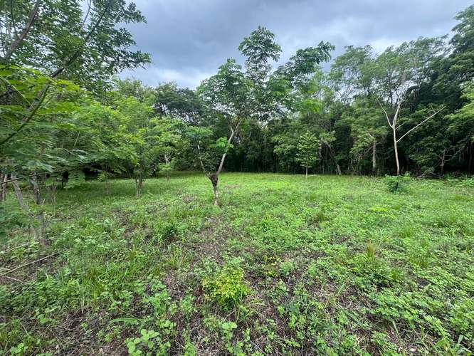 Spacious Building Lots Near Playa Marsella – 20-Meter Frontage & No HOA