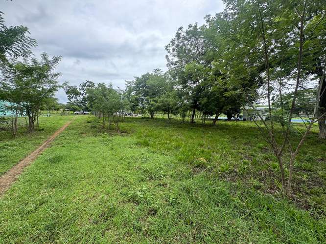 Spacious Building Lots Near Playa Marsella – 20-Meter Frontage & No HOA