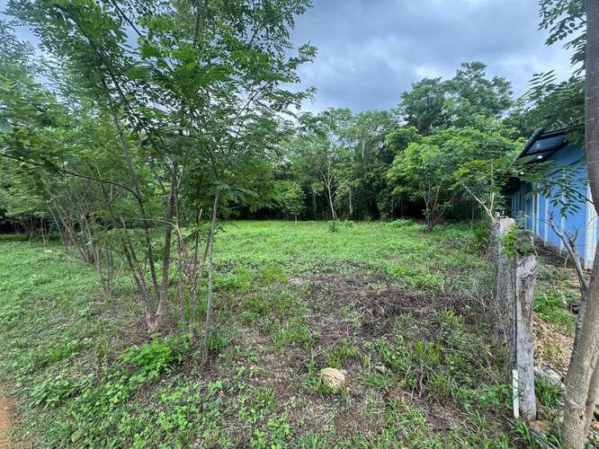 Spacious Building Lots Near Playa Marsella – 20-Meter Frontage & No HOA
