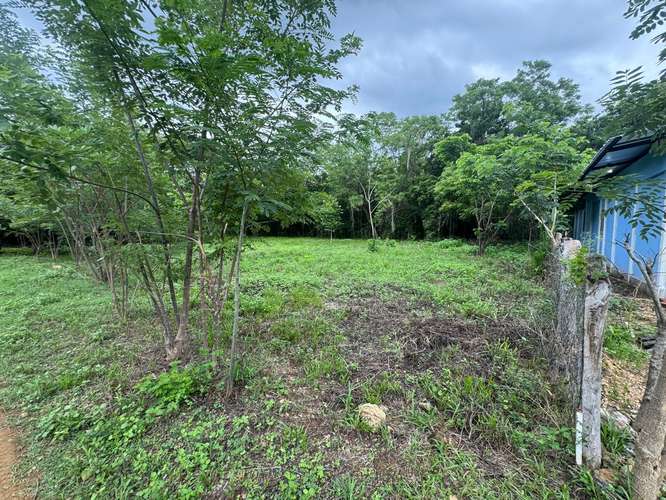 Spacious Building Lots Near Playa Marsella – 20-Meter Frontage & No HOA