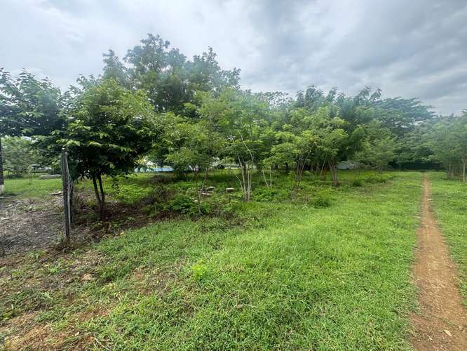 Spacious Building Lots Near Playa Marsella – 20-Meter Frontage & No HOA