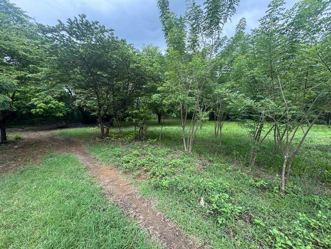 Spacious Building Lots Near Playa Marsella – 20-Meter Frontage & No HOA