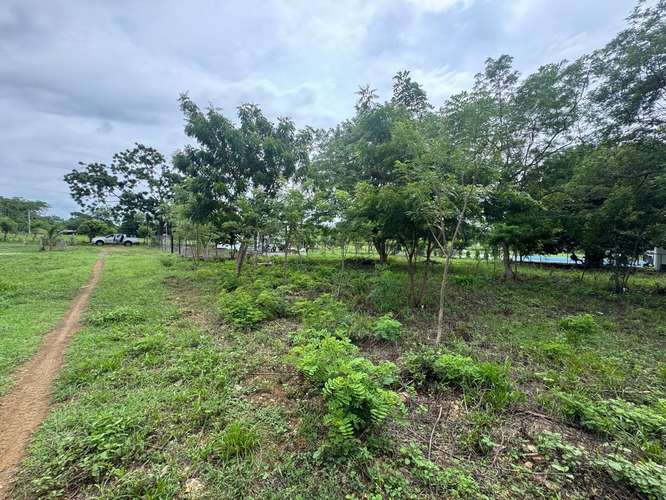 Spacious Building Lots Near Playa Marsella – 20-Meter Frontage & No HOA