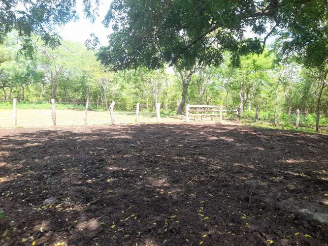 SE VENDE FINCA DE 94 MANZANAS EN DIRIAMBA CARAZO. 