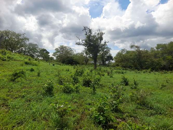 SE VENDE FINCA DE 94 MANZANAS EN DIRIAMBA CARAZO. 