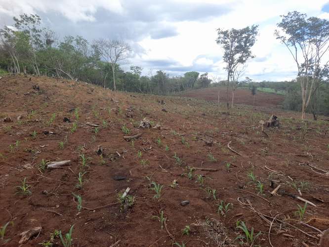 SE VENDE FINCA DE 94 MANZANAS EN DIRIAMBA CARAZO. 
