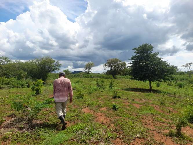 SE VENDE FINCA DE 94 MANZANAS EN DIRIAMBA CARAZO. 