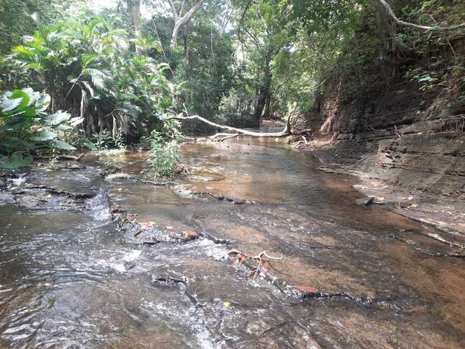 SE VENDE FINCA DE 94 MANZANAS EN DIRIAMBA CARAZO. 