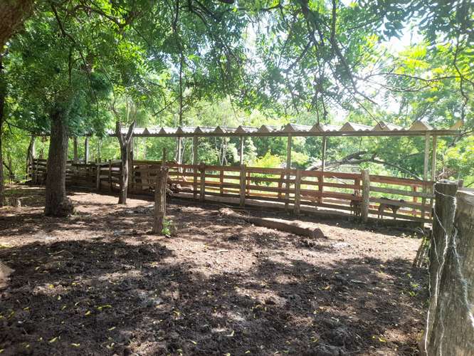 SE VENDE FINCA DE 94 MANZANAS EN DIRIAMBA CARAZO. 