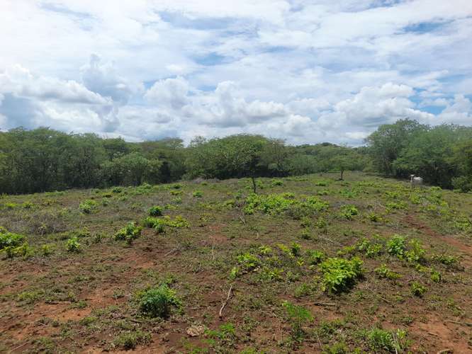 SE VENDE FINCA DE 94 MANZANAS EN DIRIAMBA CARAZO. 