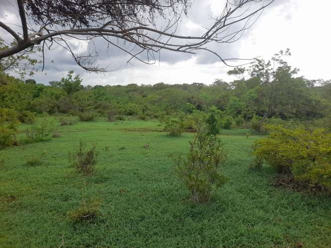 SE VENDE FINCA DE 94 MANZANAS EN DIRIAMBA CARAZO. 