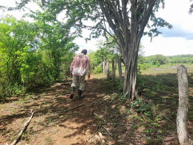 SE VENDE FINCA DE 94 MANZANAS EN DIRIAMBA CARAZO. 