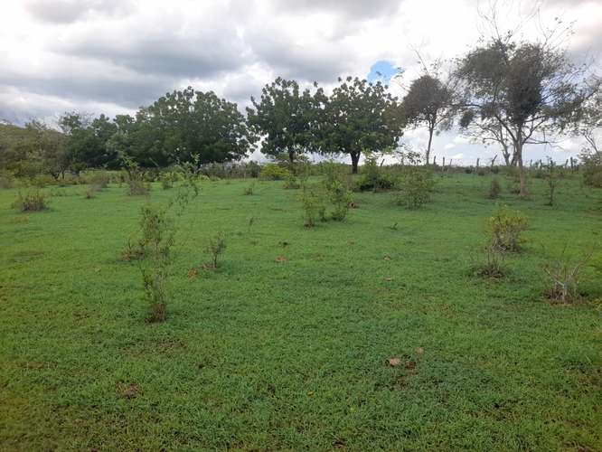 SE VENDE FINCA DE 94 MANZANAS EN DIRIAMBA CARAZO. 