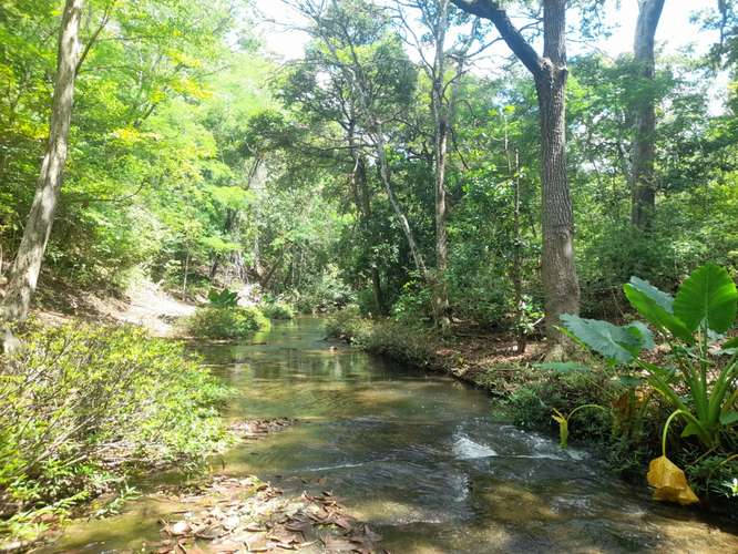 SE VENDE FINCA DE 94 MANZANAS EN DIRIAMBA CARAZO. 