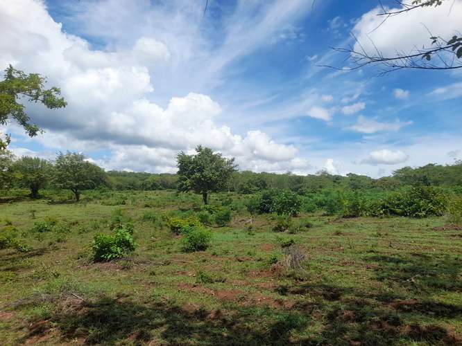 SE VENDE FINCA DE 94 MANZANAS EN DIRIAMBA CARAZO. 