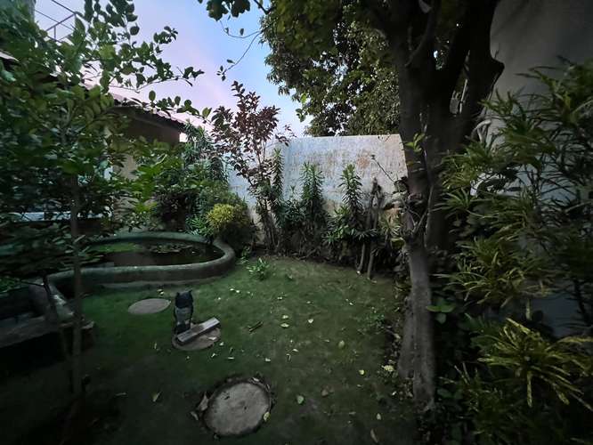 Alquiler de Apartamento en Bolonia 