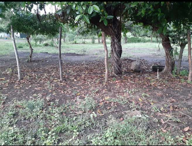 Terreno 10x30 - Imagen 7
