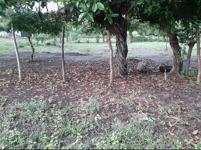 Terreno 10x30